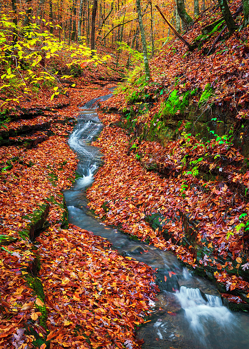 Fall Art
