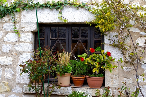 Joe Vella - Window garden, Gourdon, France.