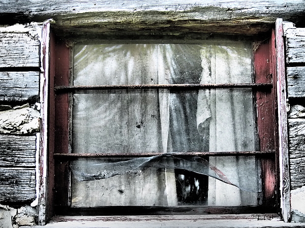 Tom Halseth - Window Pain
