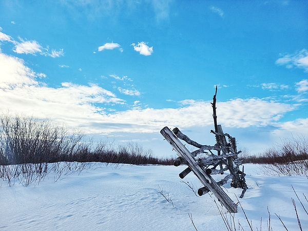 Adam Copp - Winter Fence - Winnipeg, Manitoba