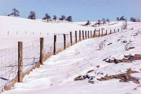 Jim Love - Winter Fence Line