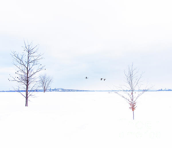 Erik Peters - Winter Flight