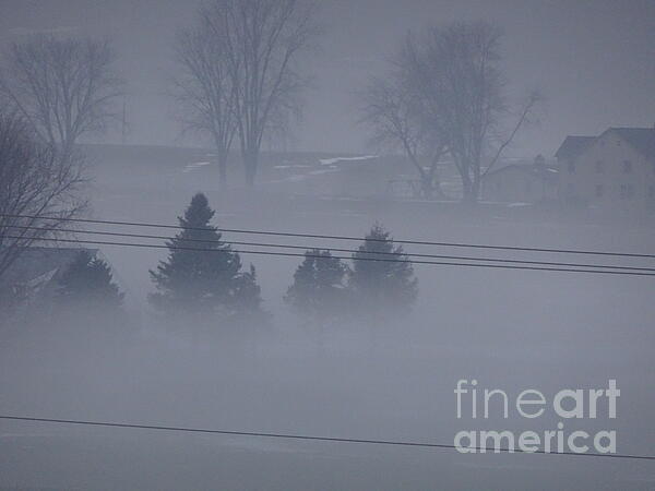 Eunice Warfel - Winter Fog