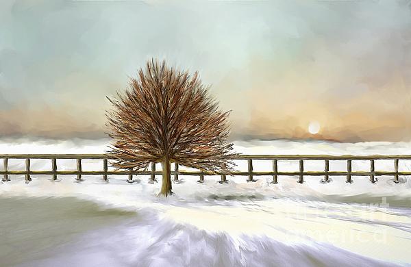 Ana Borras - Winter Leafless Tree
