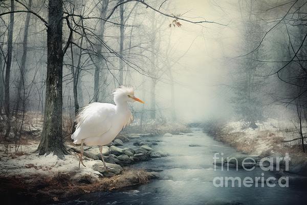 Eva Lechner - Winter on the Creek