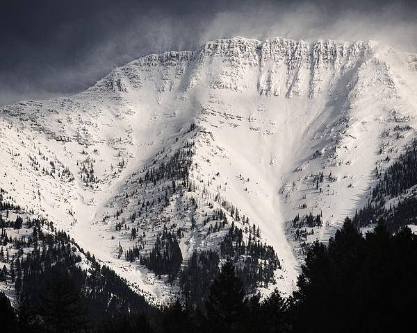 Winter Art
