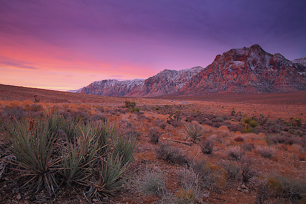 Red Rock Canyon Sunrise, Red Rock Canyon, Nevada