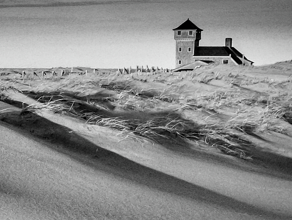 Winter Photographs