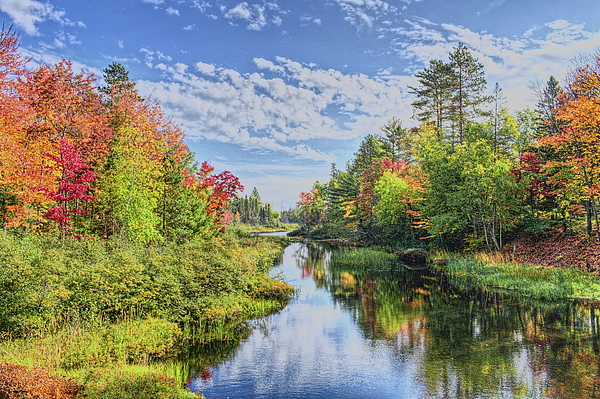 https://images.fineartamerica.com/images/artworkimages/medium/3/wisconsin-river-headwaters-fall-2023-dale-kauzlaric.jpg