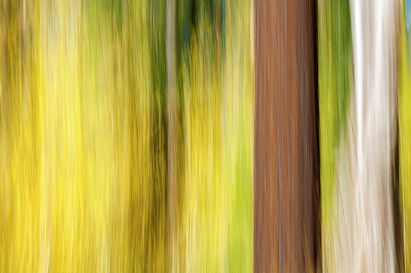 Long Exposure Art
