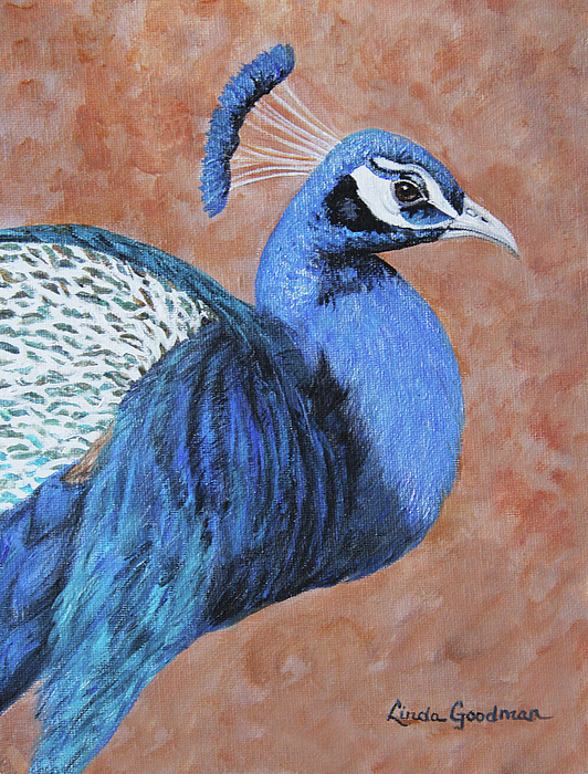 Linda Goodman - Wondrous Peacock