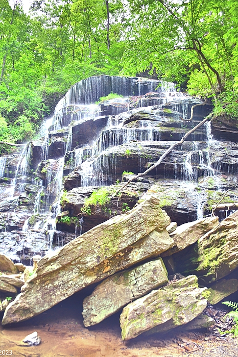 Lisa Wooten - Yellow Branch Falls Oconee County South Carolina Vertical