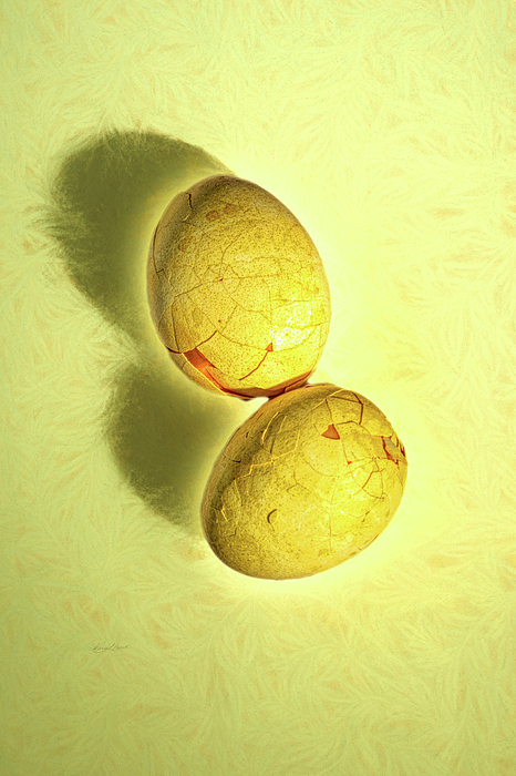 Sharon Popek - Yellow Eggs