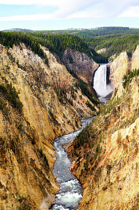 William D Briscoe - Yellowstone Lower Falls