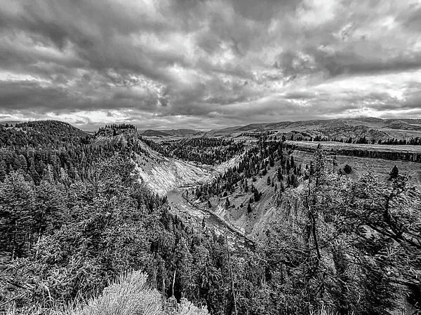 Judy Vincent - Yellowstone National Park Landscape Black and White