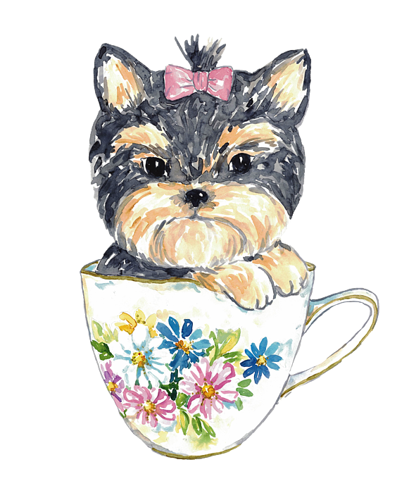 https://images.fineartamerica.com/images/artworkimages/medium/3/yorkie-yorkshire-terrier-tea-cup-watercolor-maryna-salagub-transparent.png