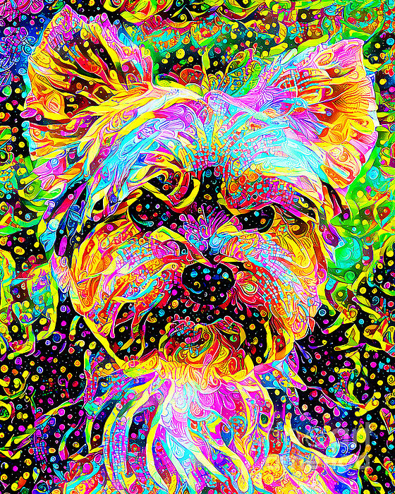 https://images.fineartamerica.com/images/artworkimages/medium/3/yorkshire-terrier-dog-in-vibrant-whimsical-colors-20210118-wingsdomain-art-and-photography.jpg