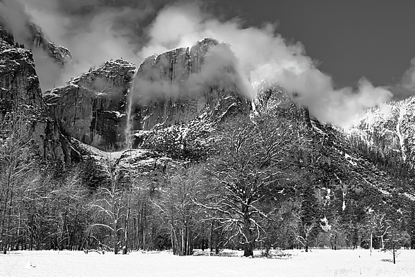Winter Art