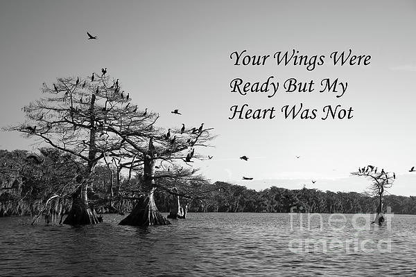 Brenda Harle - Your Wings Were Ready