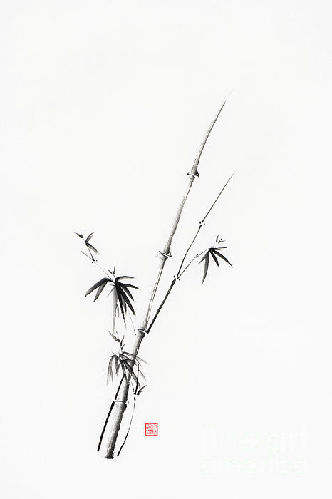 https://images.fineartamerica.com/images/artworkimages/medium/3/zen-bamboo-illustration-minimalist-japanese-sumi-e-black-ink-pai-awen-fine-art-prints.jpg