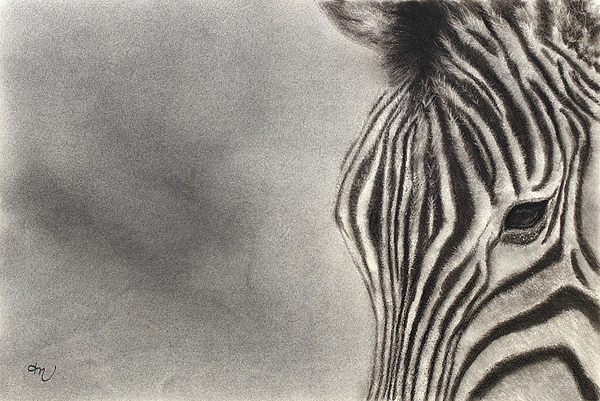 Wildlife Art