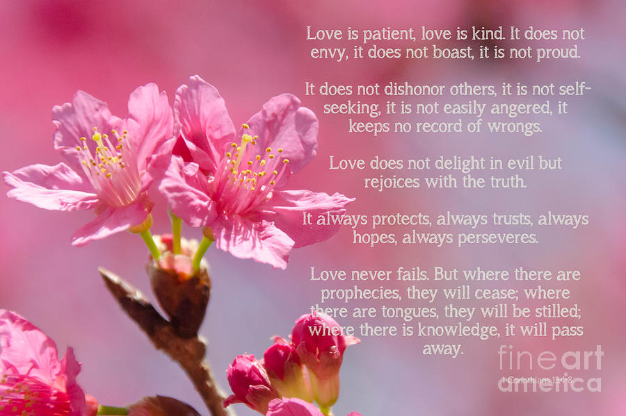  1 Corinthians 13 Love is Photograph by Andrea Anderegg