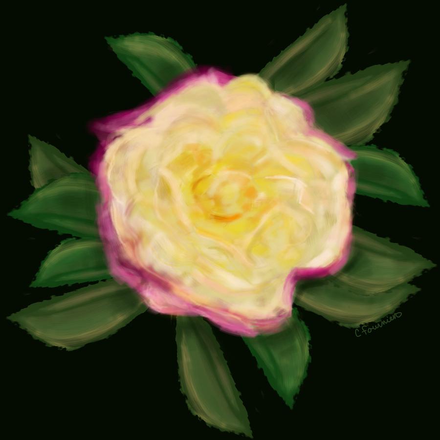 Rose Painting -  A rose is a rose by Christine Fournier