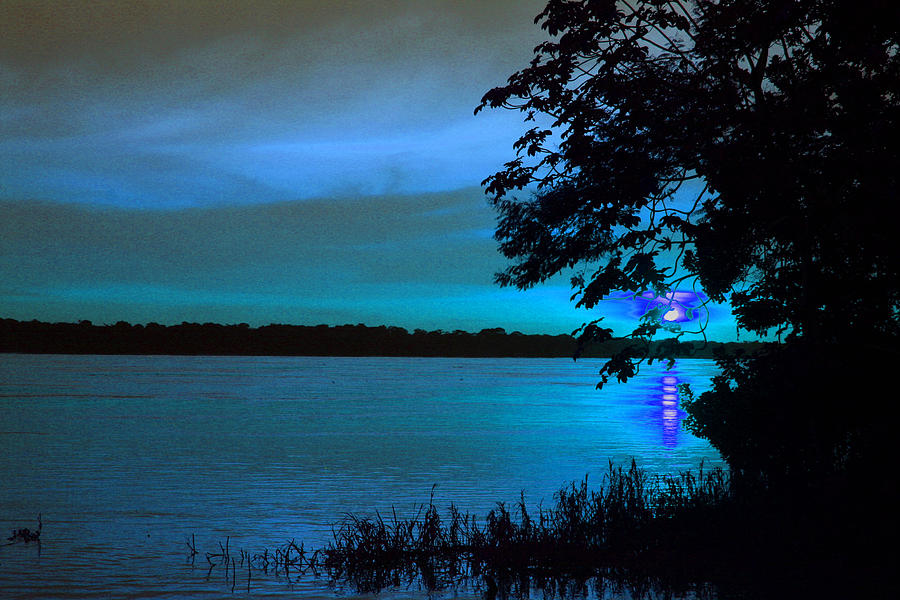 Nature Digital Art -  Amazonic Dawn by Diana Maria Parra