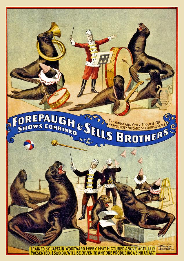  Antique circus Forepaugh and Sells, seals show advert Digital Art by Heidi De Leeuw