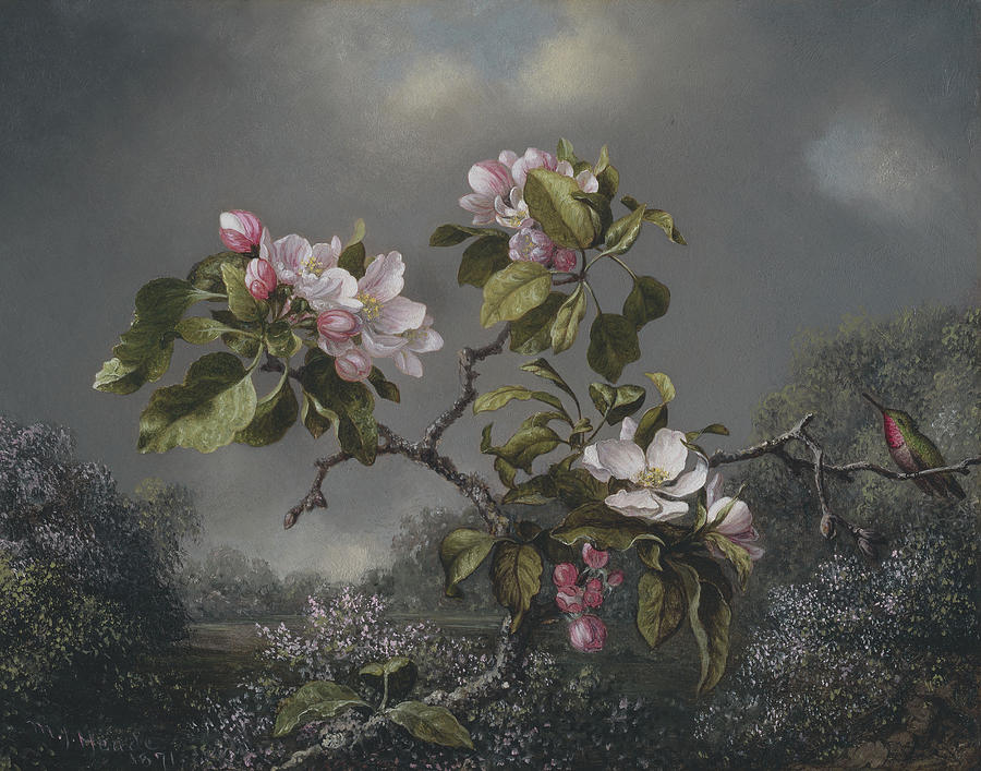Martin Johnson Heade Painting -  Apple Blossoms and Hummingbird #1 by Martin Johnson Heade