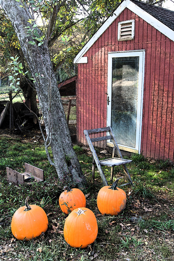  Artistic Hen House w Pumpkins Photograph by Margie Avellino