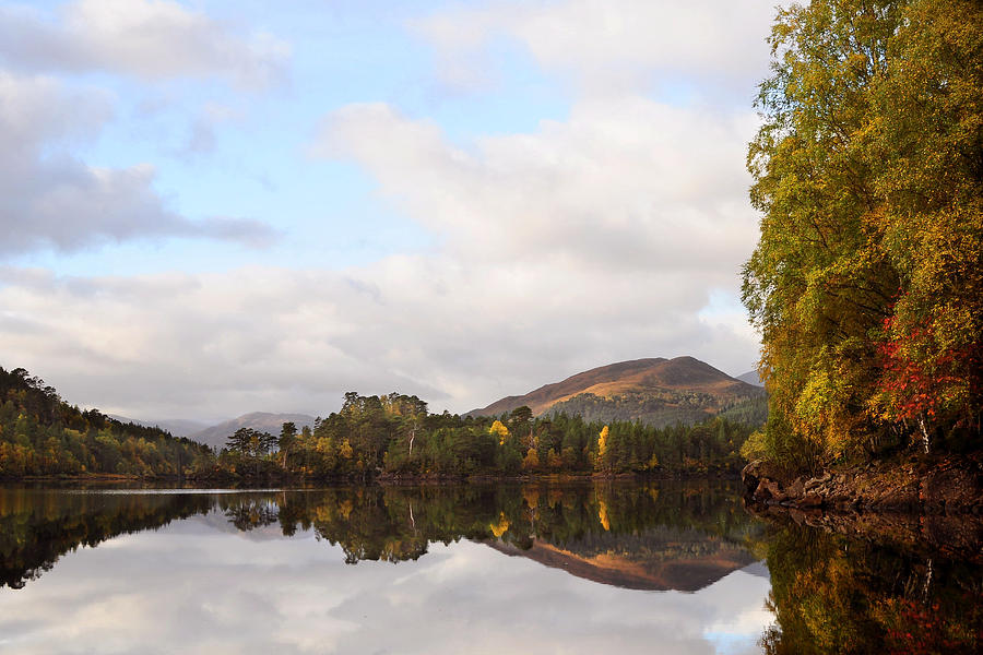  Autumn In Glen Affric Photograph by Gavin Macrae