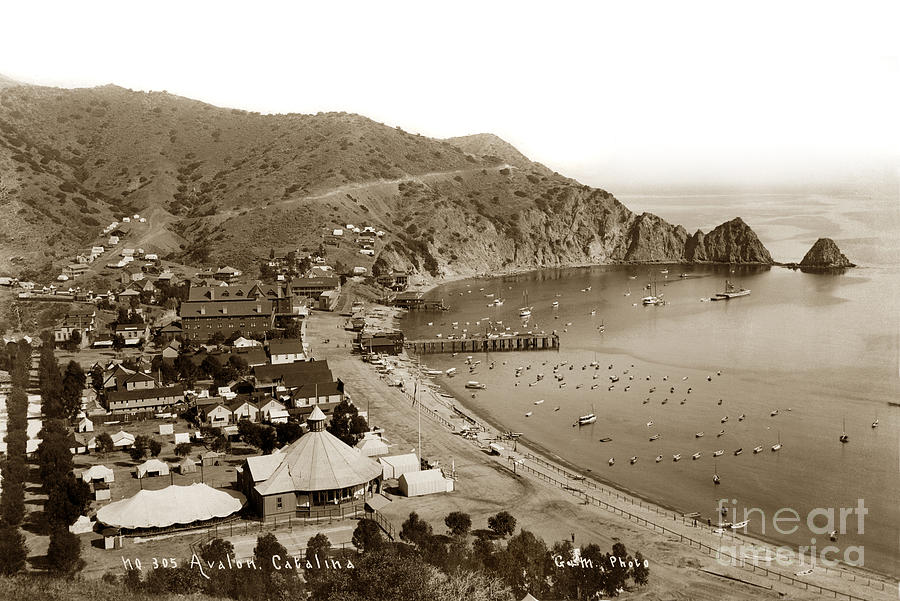 Beach Photograph -  Avalon Bay Catalina as seen from the hillside. Circa 1895 by Monterey County Historical Society