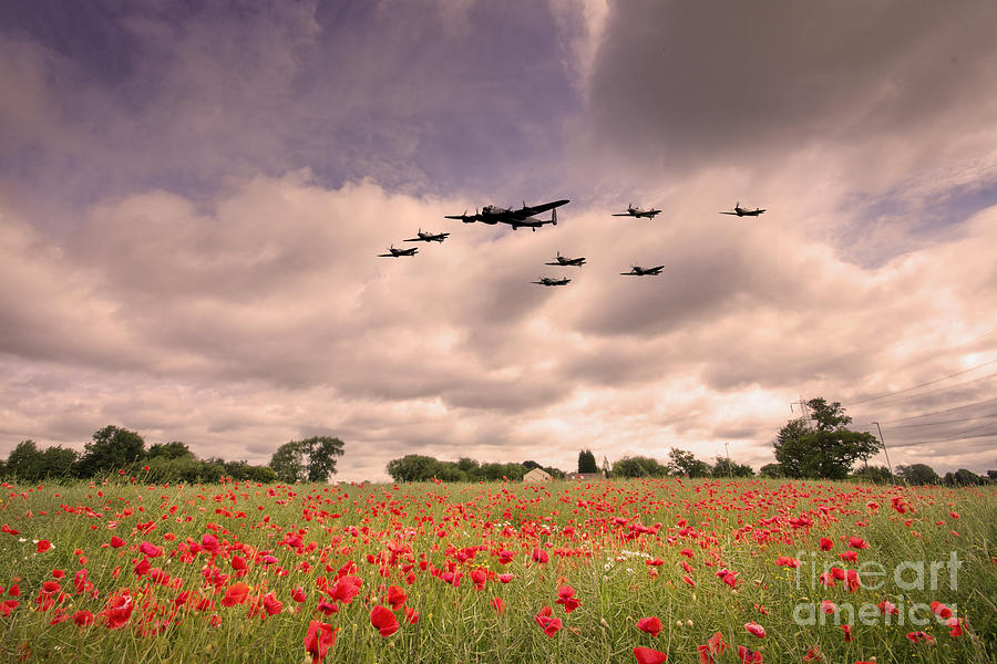  Battle Of Britain Anniversary Digital Art by Airpower Art