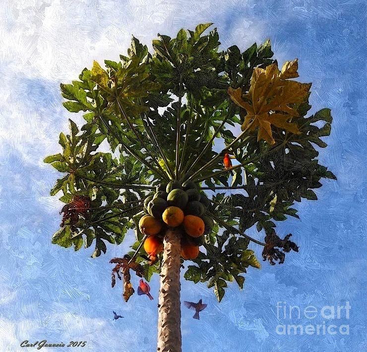  Birds in Papaya Tree  Painting by Carl Gouveia
