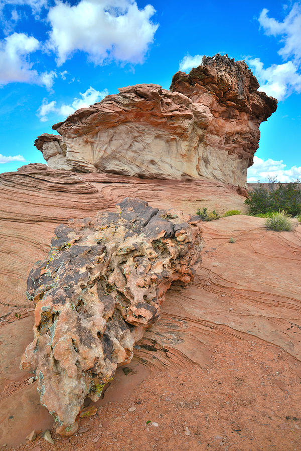  Bizarre Rocks Photograph by Ray Mathis