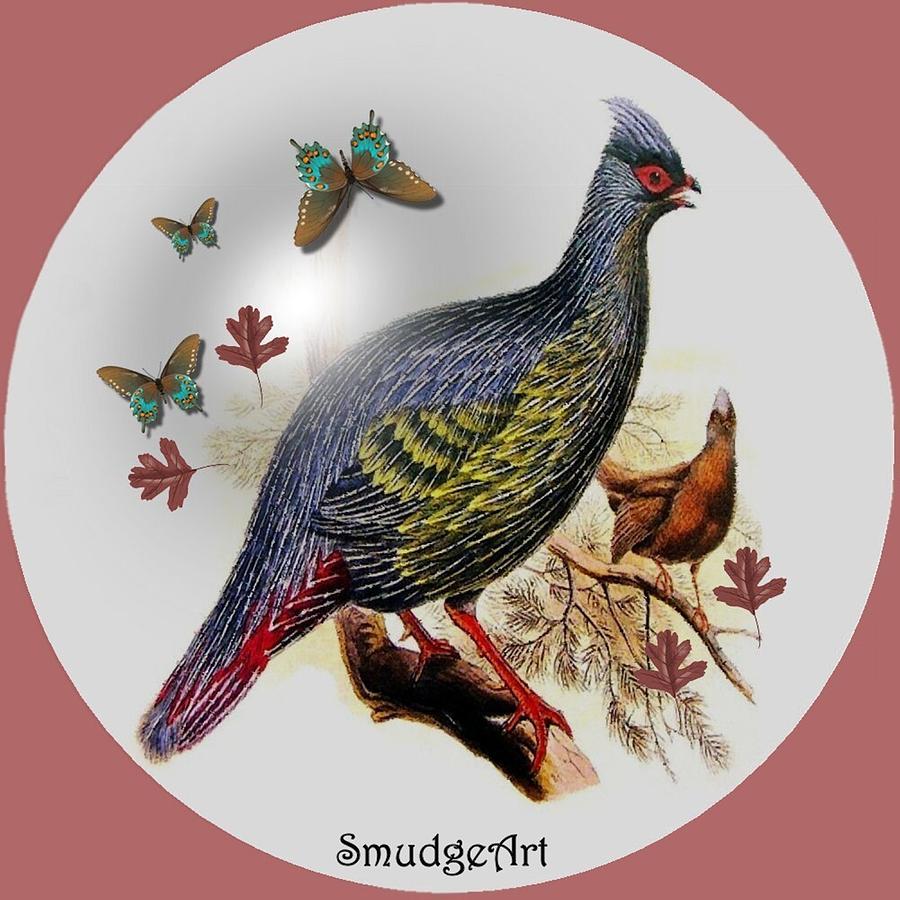 Pheasant Digital Art -  Blood Pheasant by Madeline  Allen - SmudgeArt