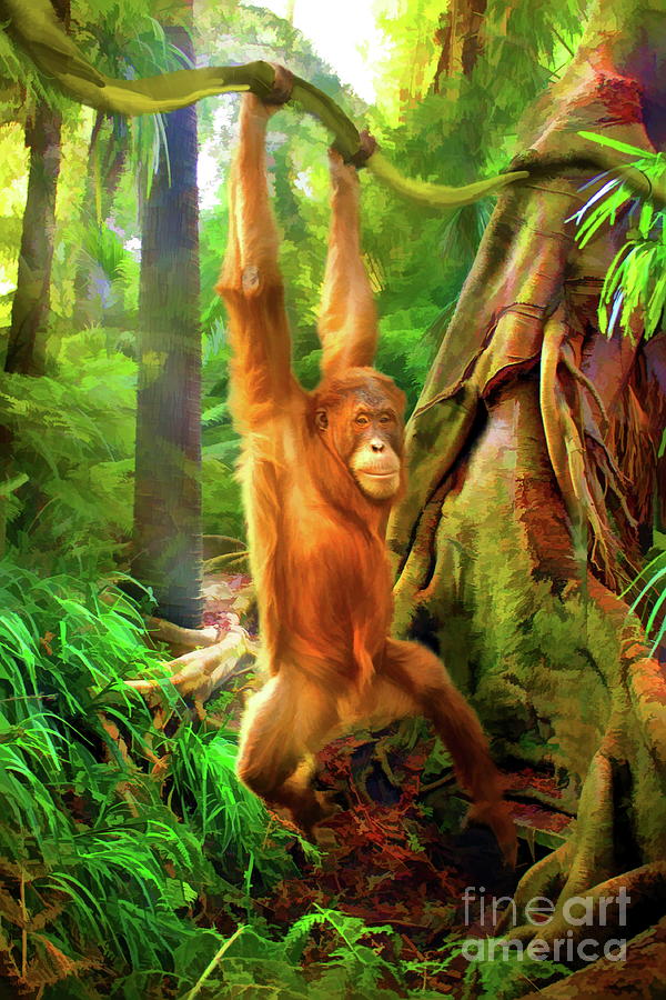Orangutan Photograph by Trudi Simmonds