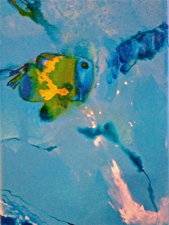 Fish Painting -   Bubbles by Nipper Suntrapak