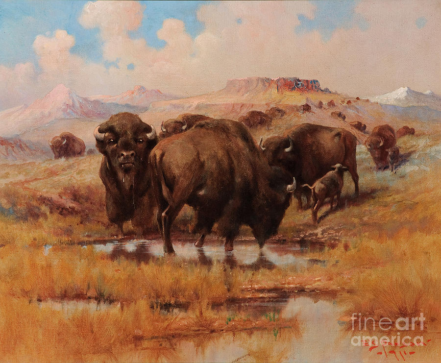 Bison Painting -  Buffalo at a Watering Hole by Celestial Images