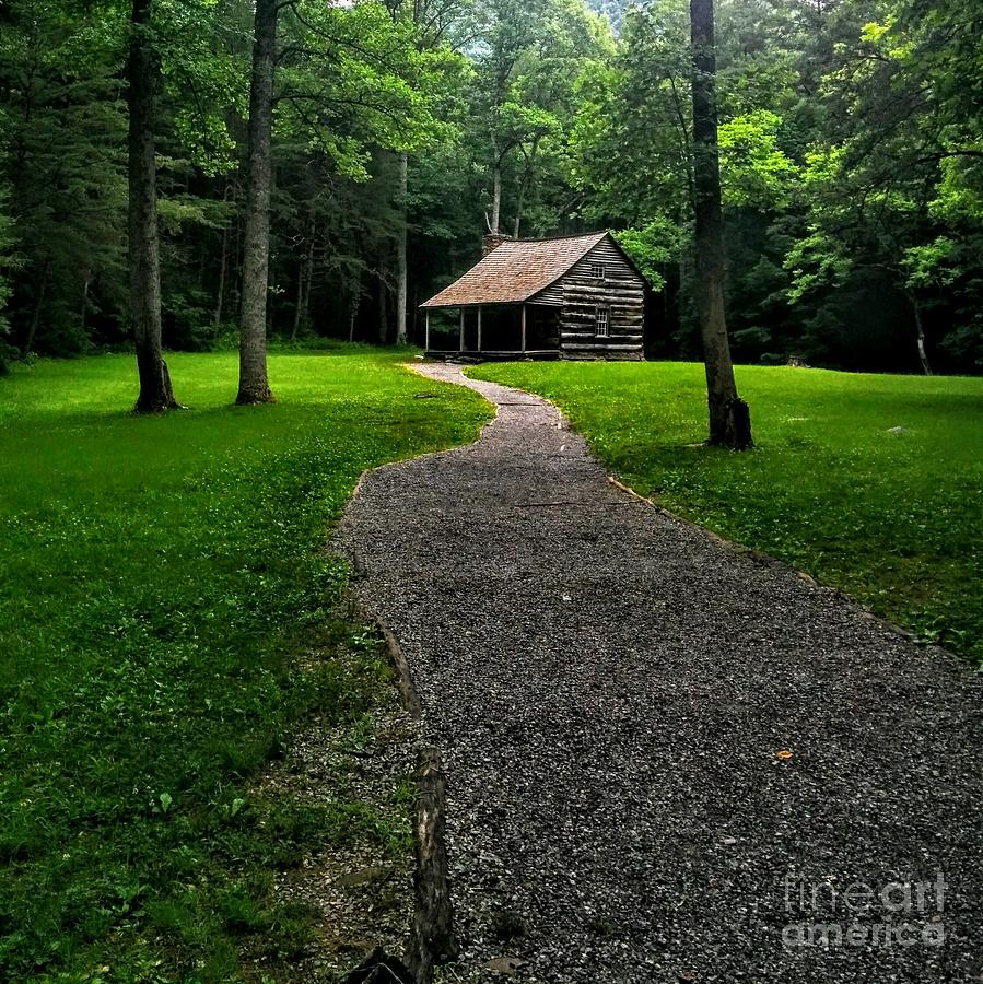 Cove Cabin Photograph by Katie Neese - Fine Art America