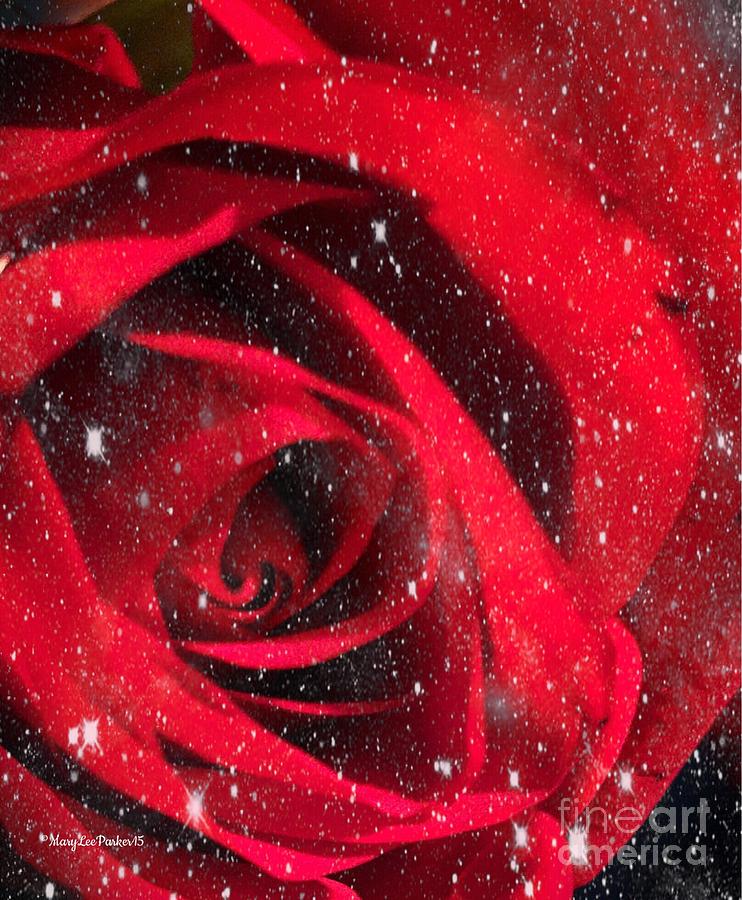  Dark Rose Photograph by MaryLee Parker