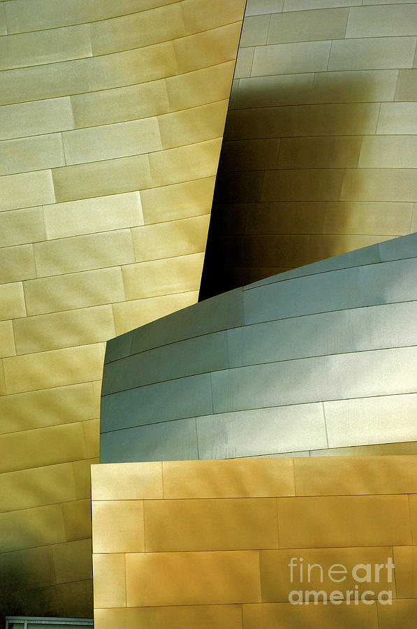  Disney Concert Hall 8 Photograph by Micah May