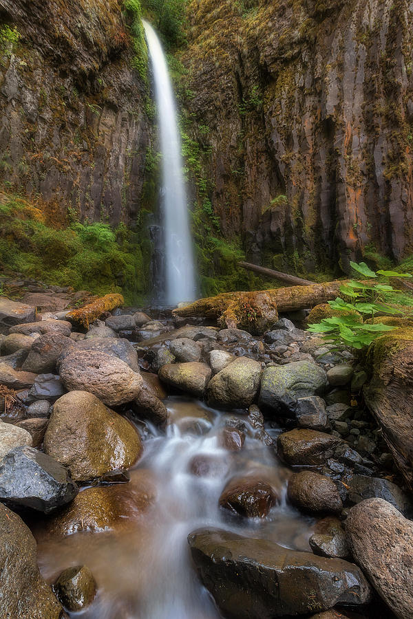  Dry Creek Falls II Photograph by David Gn