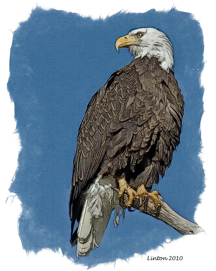 Eagle Lookout Digital Art by Larry Linton - Fine Art America