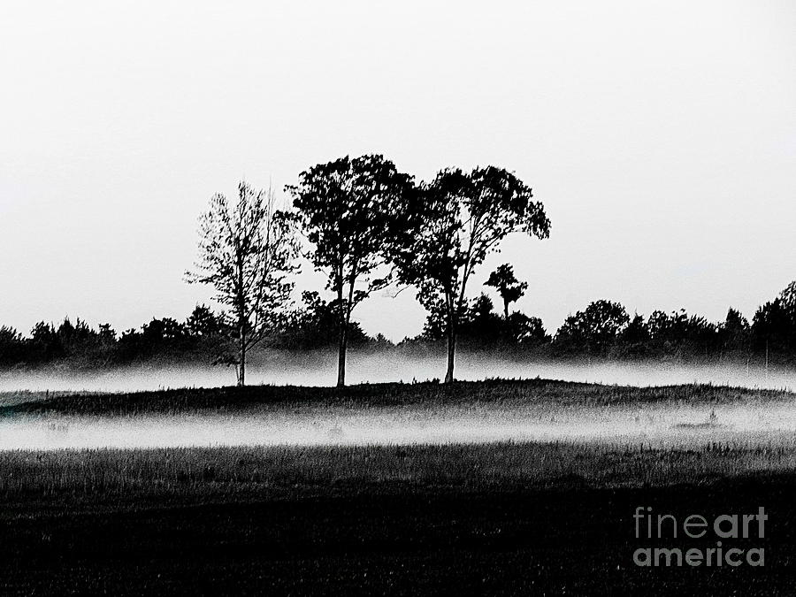  Evening Mist Black and White Photograph by Priscilla Batzell Expressionist Art Studio Gallery