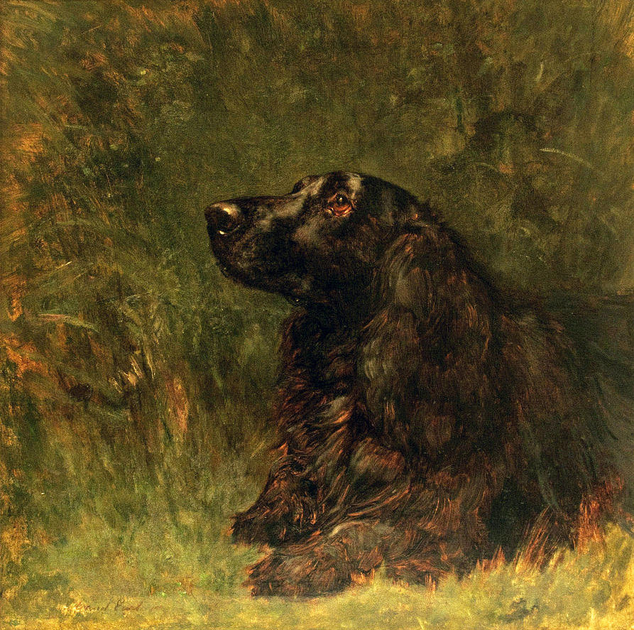  Field Spaniel  Painting by Celestial Images