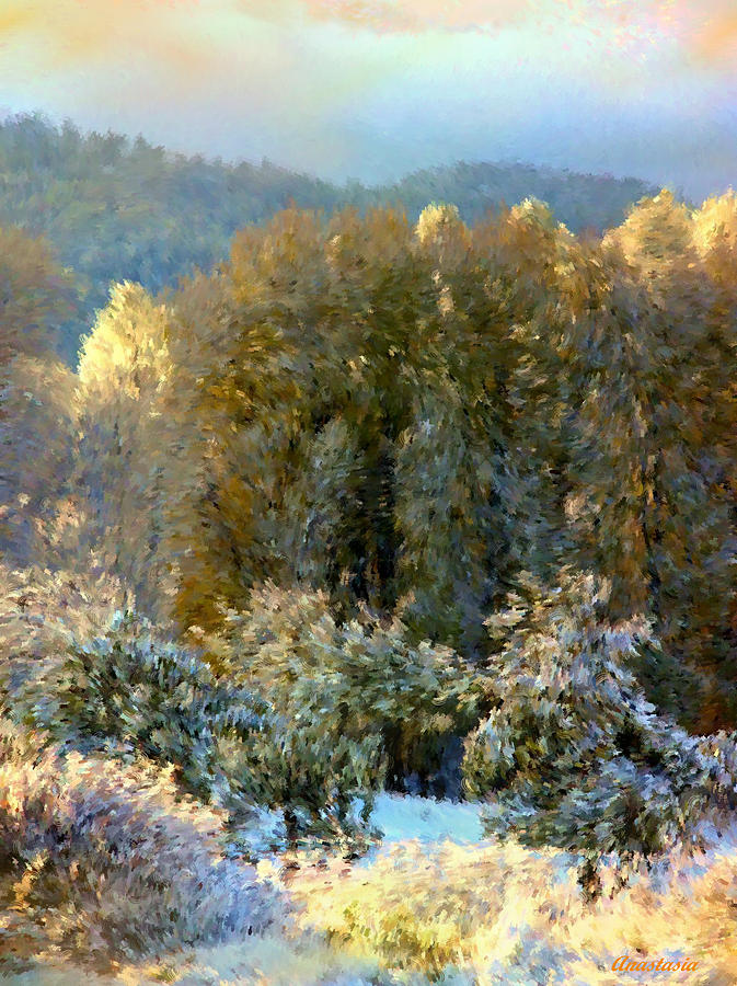  First Snow and Bosque Glow Photograph by Anastasia Savage Ealy