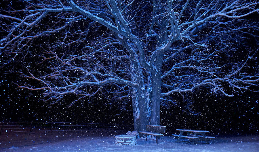 Winter Photograph -  First Snowfall by Von Collins