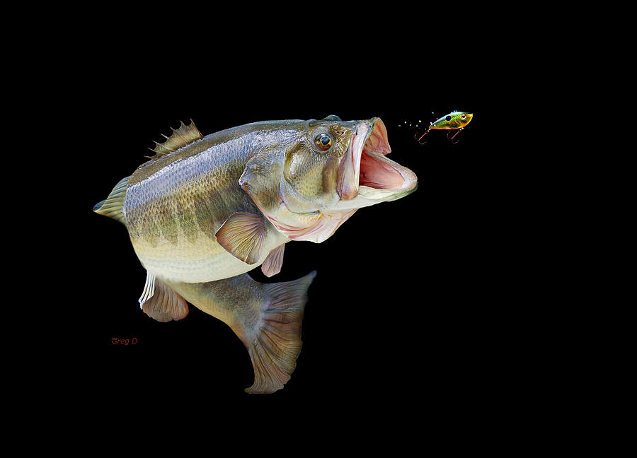  Fishing Digital Art by Gregory Doroshenko
